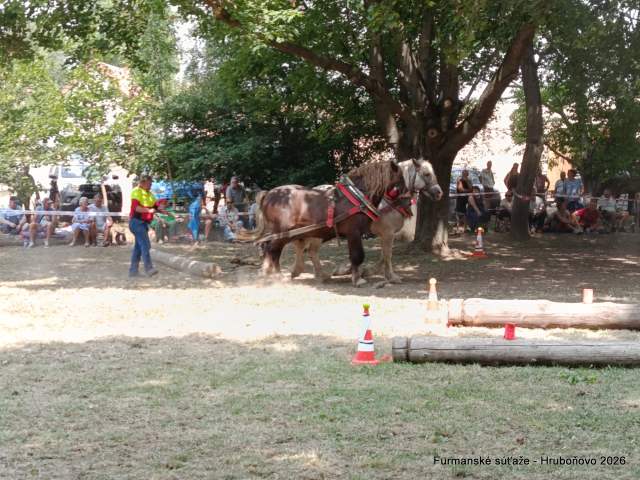 IMG_20260801_130851